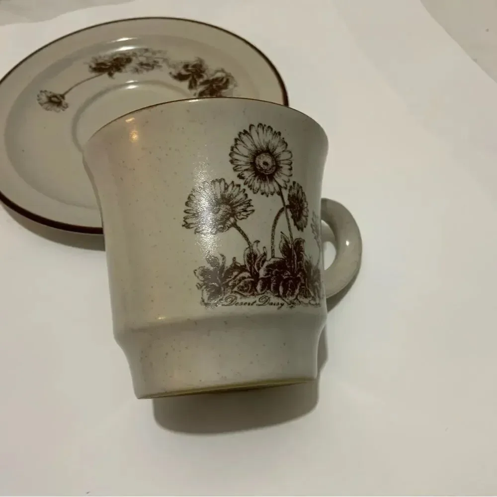 Noritake Cup & Saucer Set Desert Flowers B2